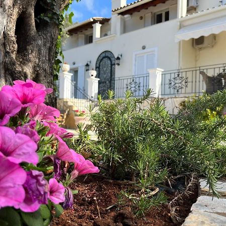 Villa Ampelaki 2 Paleokastritsa Exteriér fotografie